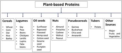 Sustaining Protein Nutrition Through Plant-Based Foods